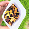 Jaipur Summer - Hibiscus, Orange Peel & Cardamom Black Tea