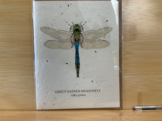Dragonfly Seed Card