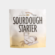  Sourdough Starter
