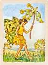 SPRING FLOWER FAIRIES MAGNETS