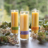 Beeswax Aromatherapy Sanctuary Candle