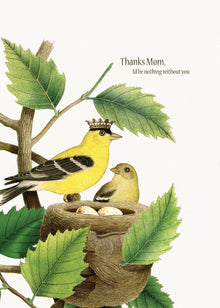 Thanks Mom, I'd be nothing without you 5X7 Greeting card