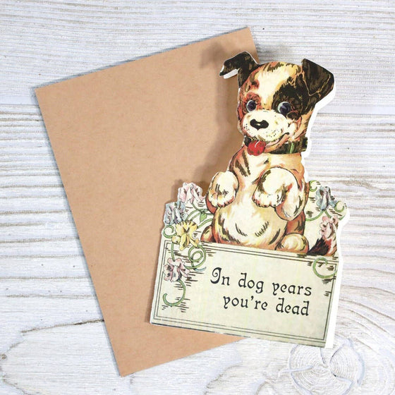 In Dog Years You're Dead