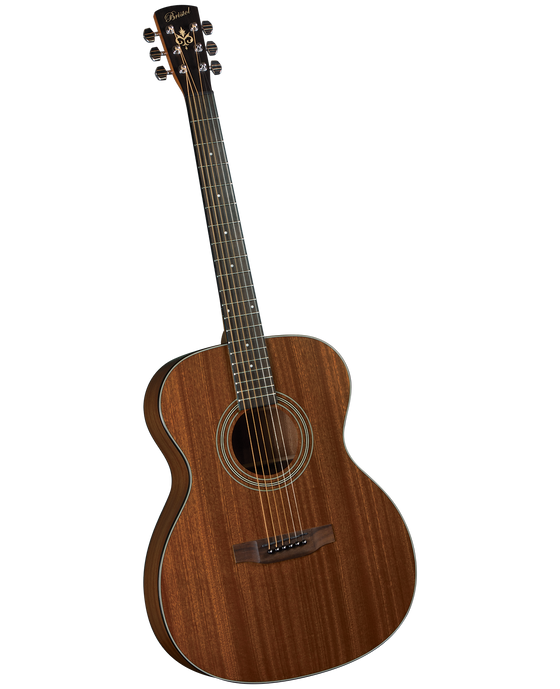 Guitar Acoustic Bristol BM-15 000 Mahogany
