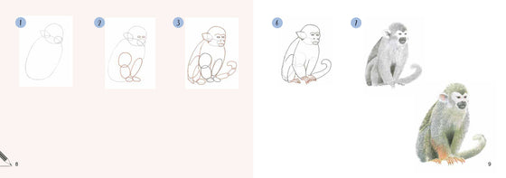Draw 30: Animals