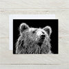 Bear Notecard