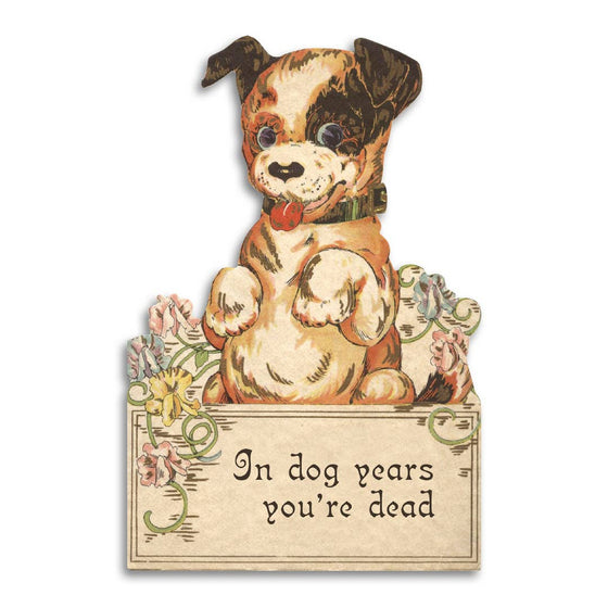 In Dog Years You're Dead