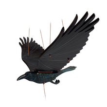  Raven Crow Black Bird Flying Bird Mobile