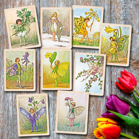 SPRING FLOWER FAIRIES MAGNETS