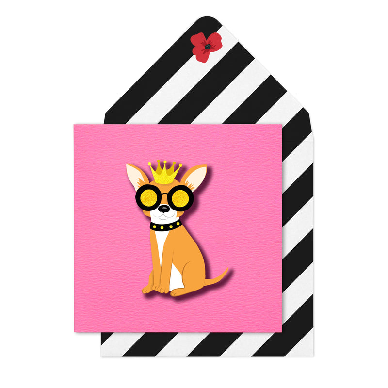 Happy Birthday Chihuahua Card