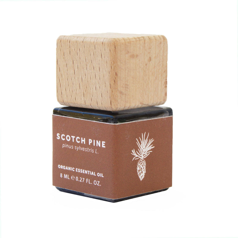 Scotch Pine Essential Oil - Organic