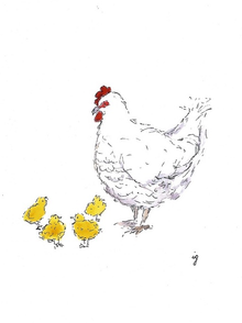 Mama Hen