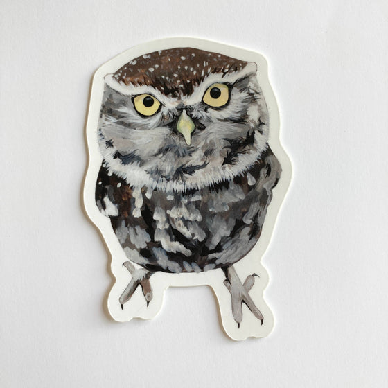 Little Owl Sticker