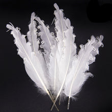 Goose Feathers for Smudging