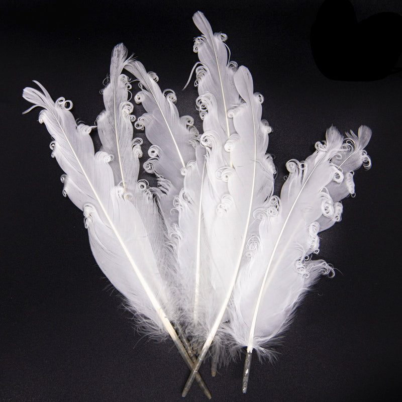 Goose Feathers for Smudging