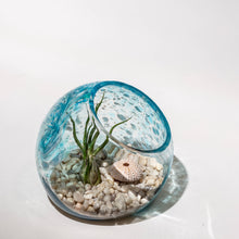  Hand Blown Art Glass Terrarium