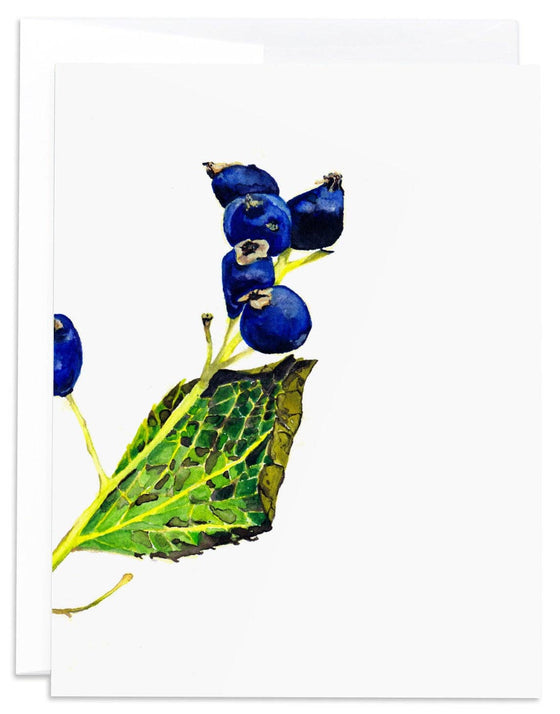 Nature 2 Note Card