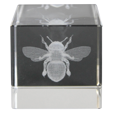 Glass Hologram - Bee