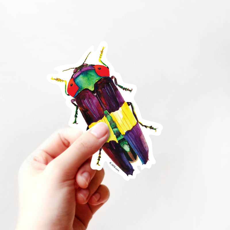 Rainbow Jewel Beetle Vinyl Sticker