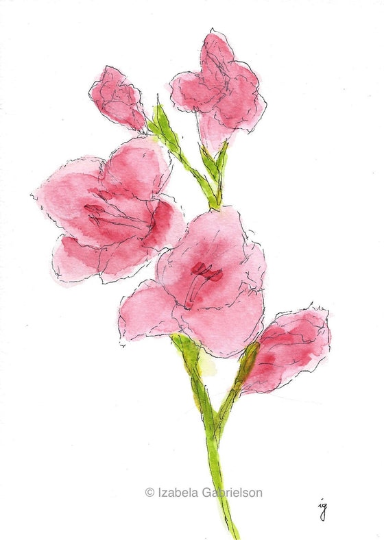 Freesia