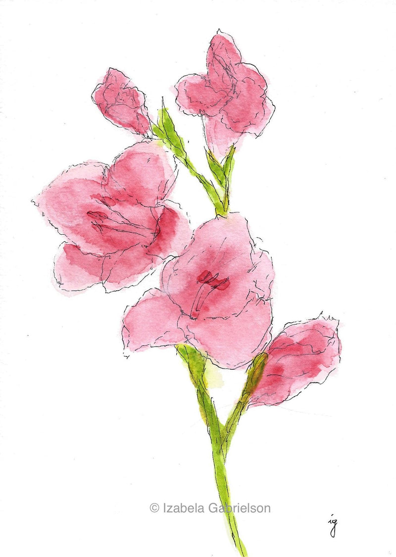 Freesia