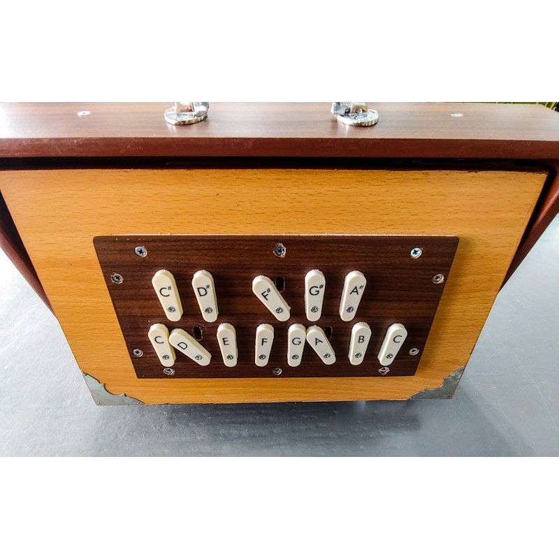 Shruti Box Deluxe with Side Controls 3C-4C