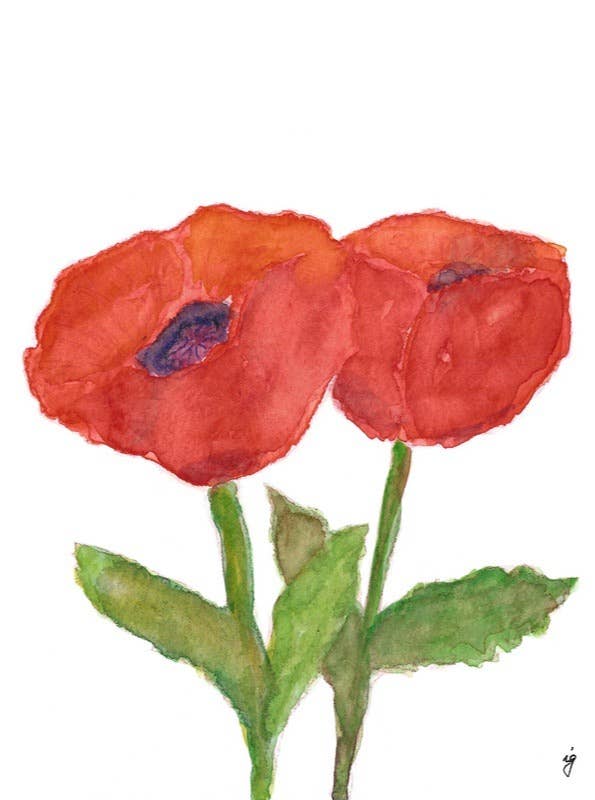 Two Poppies