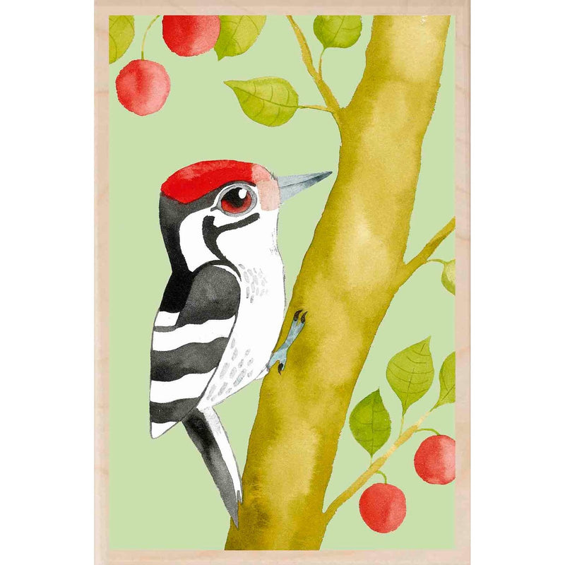 LESSER SPOTTED WOODPECKER wooden postcard Matt Sewell Birds™