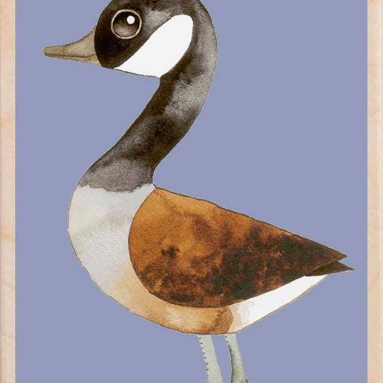 CANADA GOOSE wooden postcard Matt Sewell Birds™
