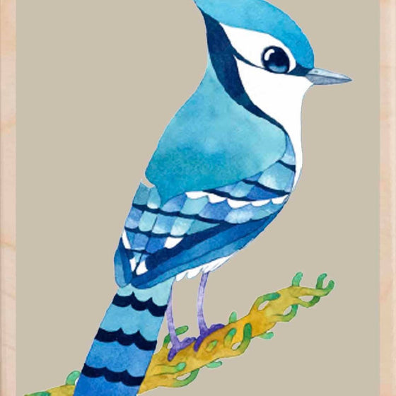 BLUE JAY wooden postcard Matt Sewell Birds™