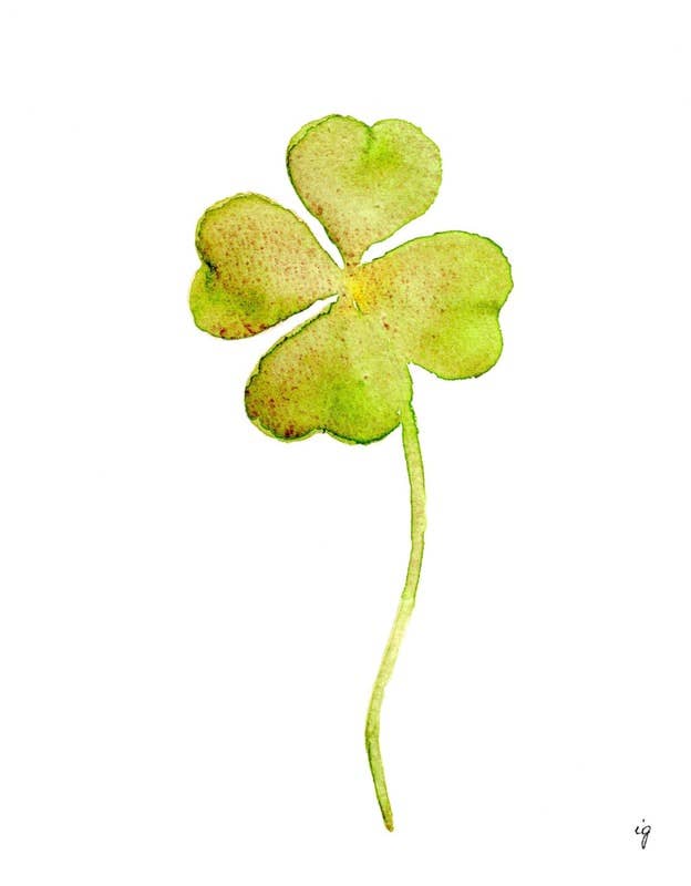 Clover
