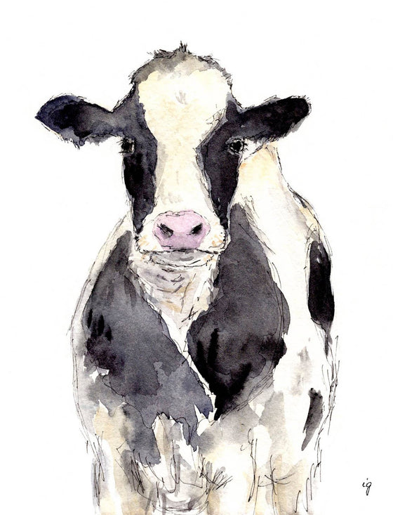 Cow