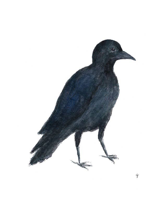 Crow