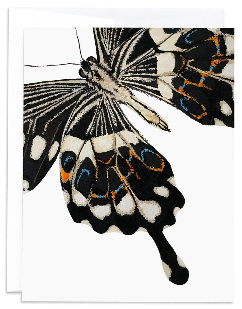 Butterfly 3 Note Card