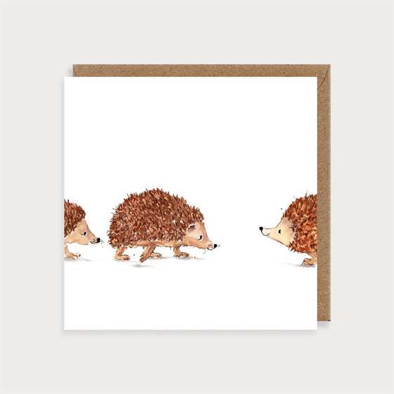 Hedgehogs Blank