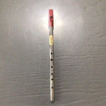  Whistle Walton’s Irish Nickel in D